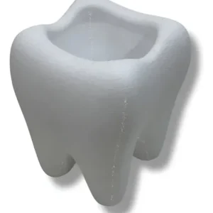 Maceta Muela 3d Diente Cactus Suculenta Dentista Souvenir Blanco Muela
