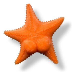 Iman Estrella Culona Mar Del Plata Conicet Patricio Estrella Naranja Estrella Culona